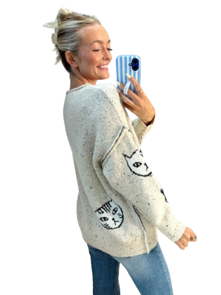 Oatmeal Cat Sweater